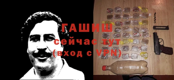 хмурый Алзамай