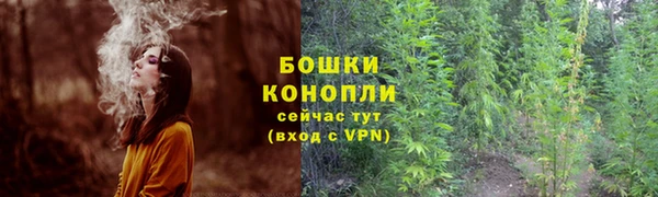 ГАЛЛЮЦИНОГЕННЫЕ ГРИБЫ Алексин